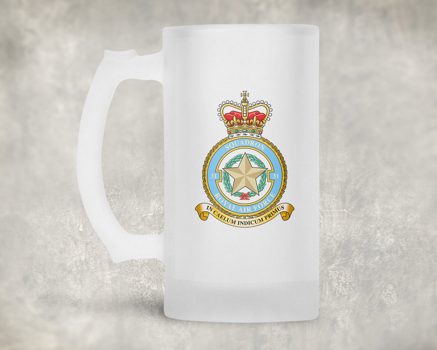 31 Squadron RAF - Frosted Stein