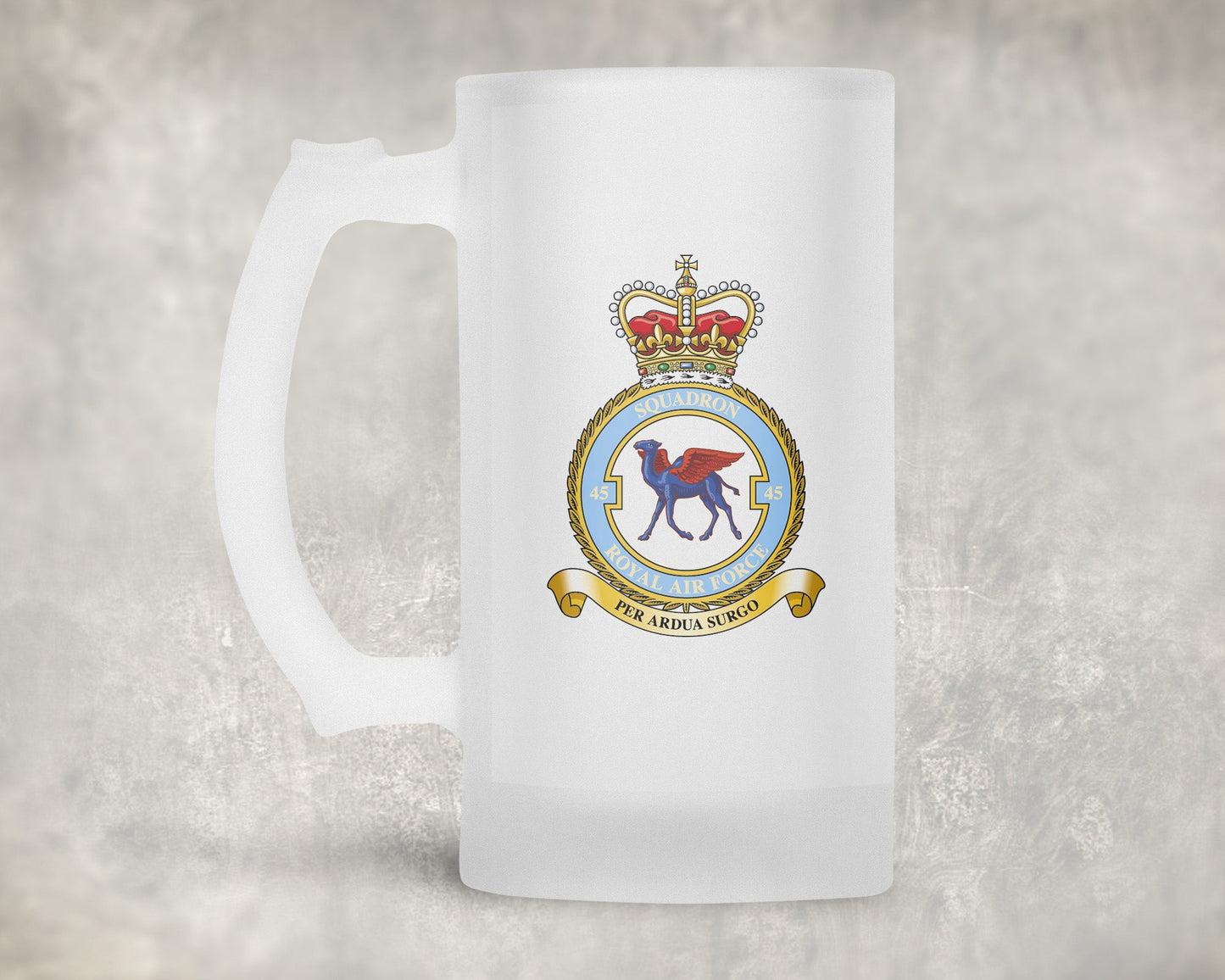 45 Squadron RAF - Frosted Stein