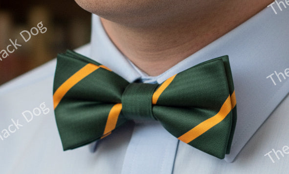 Devonshire & Dorset Regiment - Bow Tie