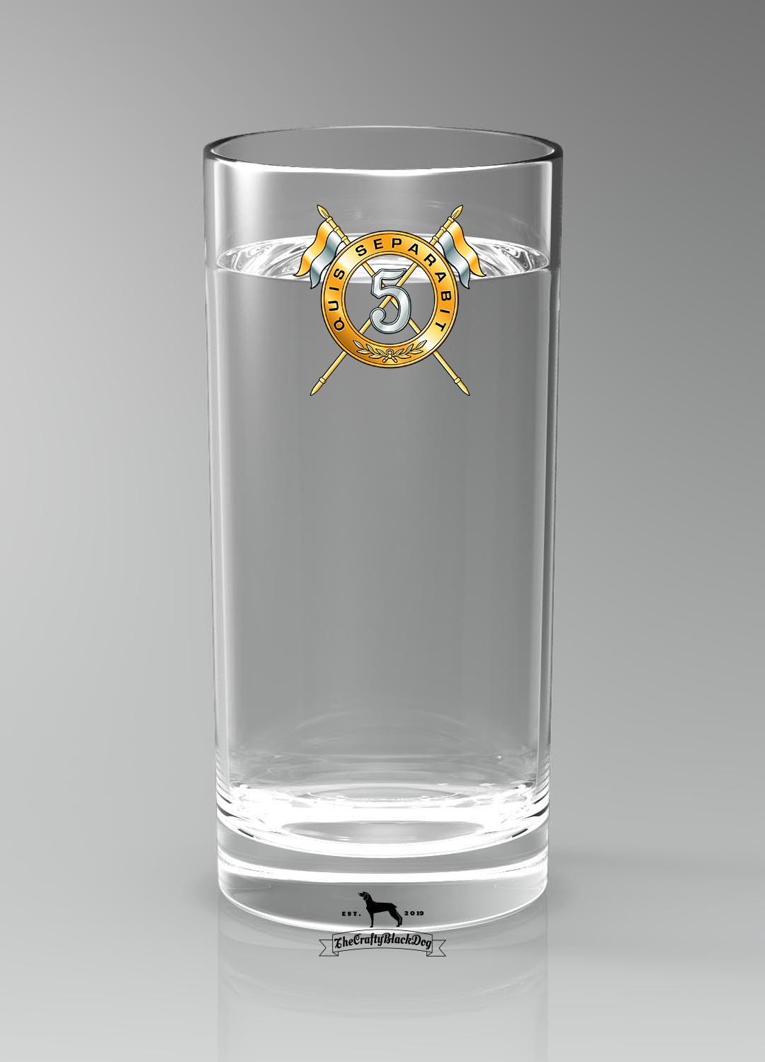 5th Royal Irish Lancers - Highball Glass(es)