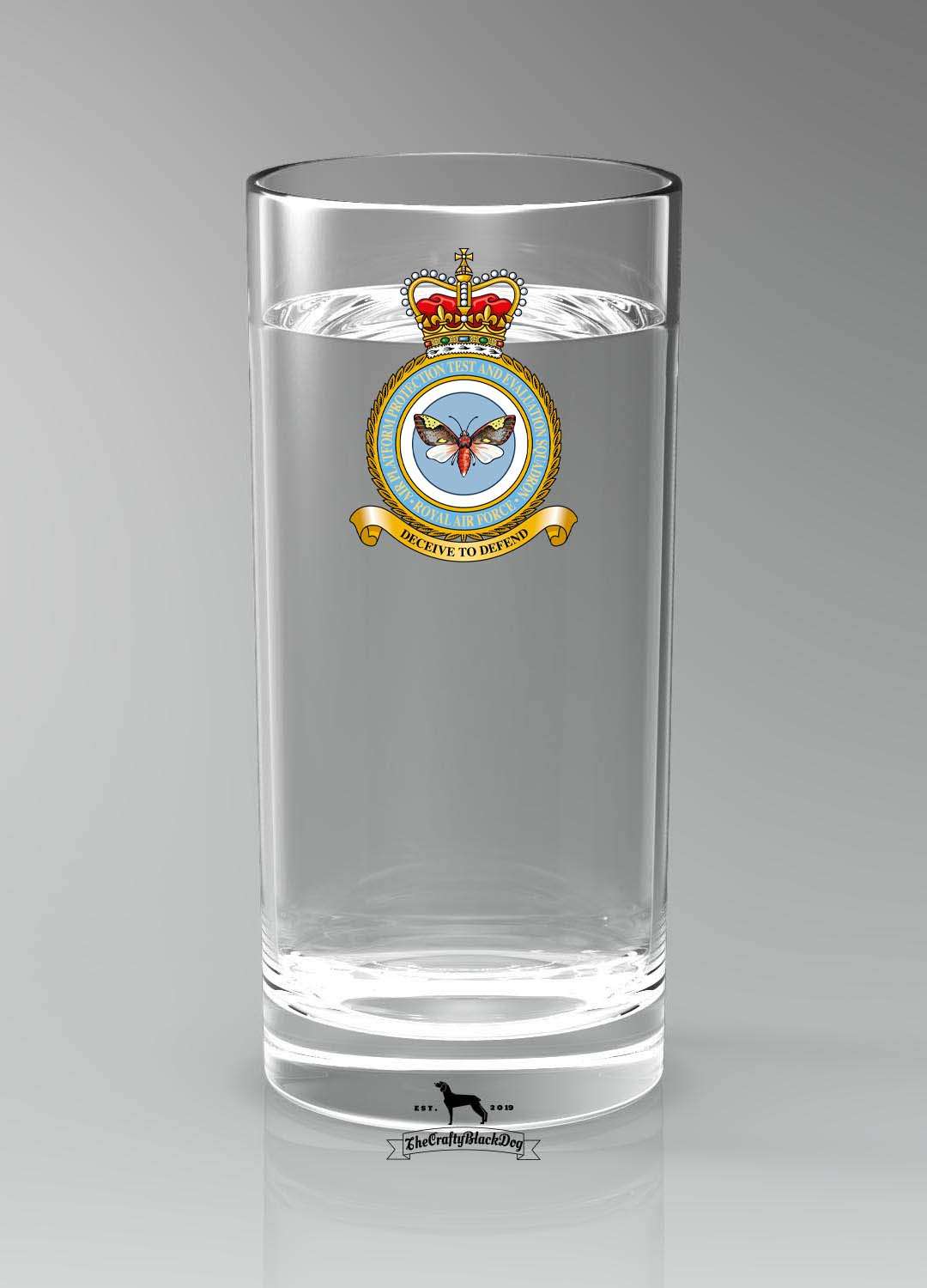 Air Platform Protection Test Evaluation Squadron RAF - Straight Gin/Mixer/Water Glass