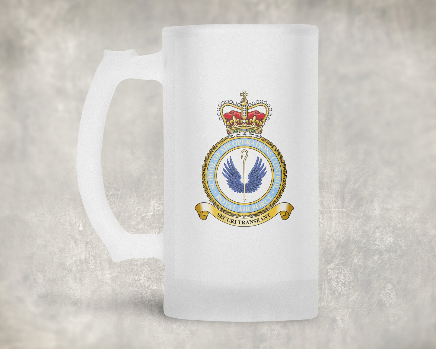 School of Air Operations Control RAF - Frosted Stein