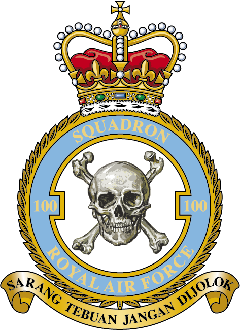 100 Squadron RAF