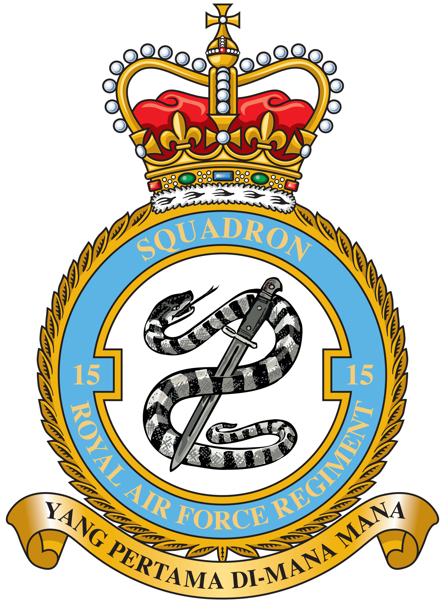 15 Sqn RAF Regiment