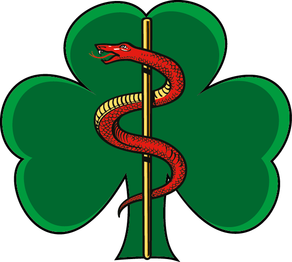 253 (North Irish) Medical Regiment