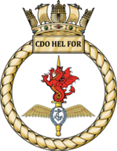 Commando Helicopter Force