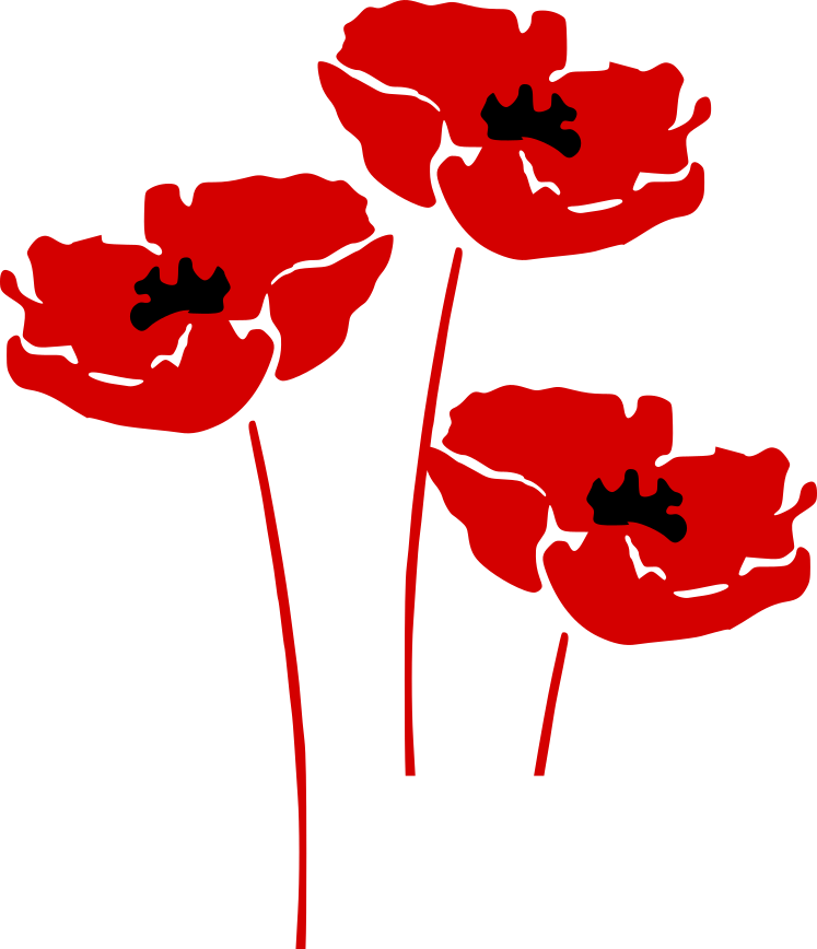 Poppies