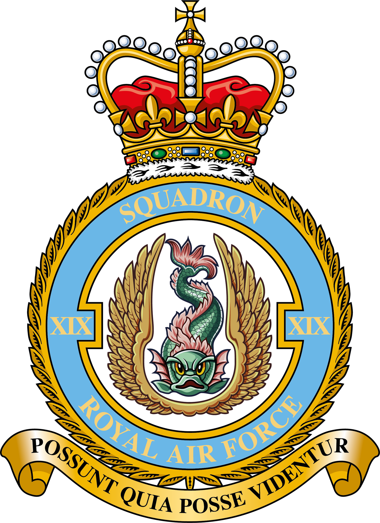 19 Squadron RAF