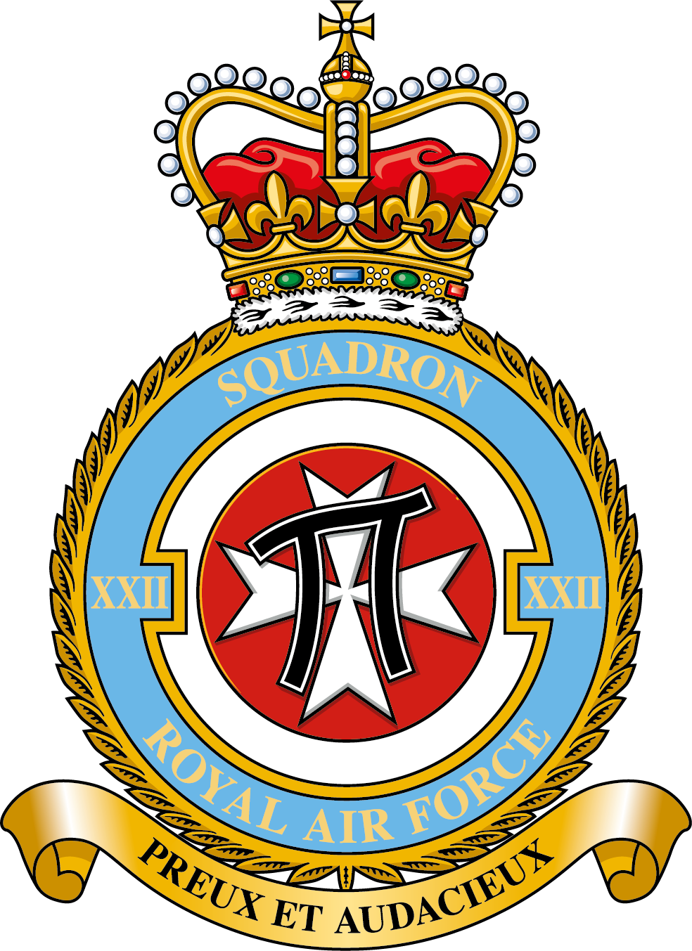22 Squadron RAF
