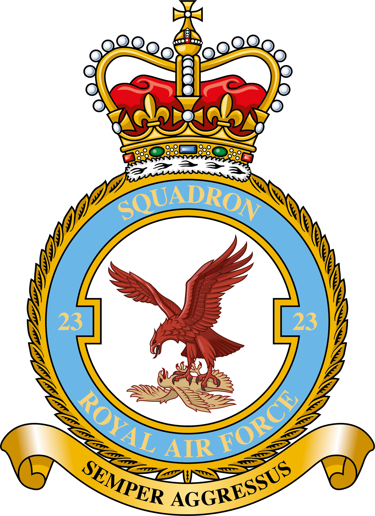 23 Squadron RAF