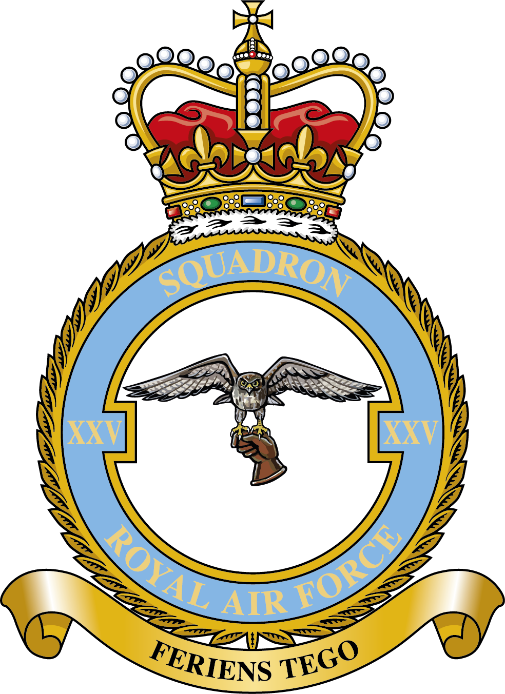 25 Squadron RAF