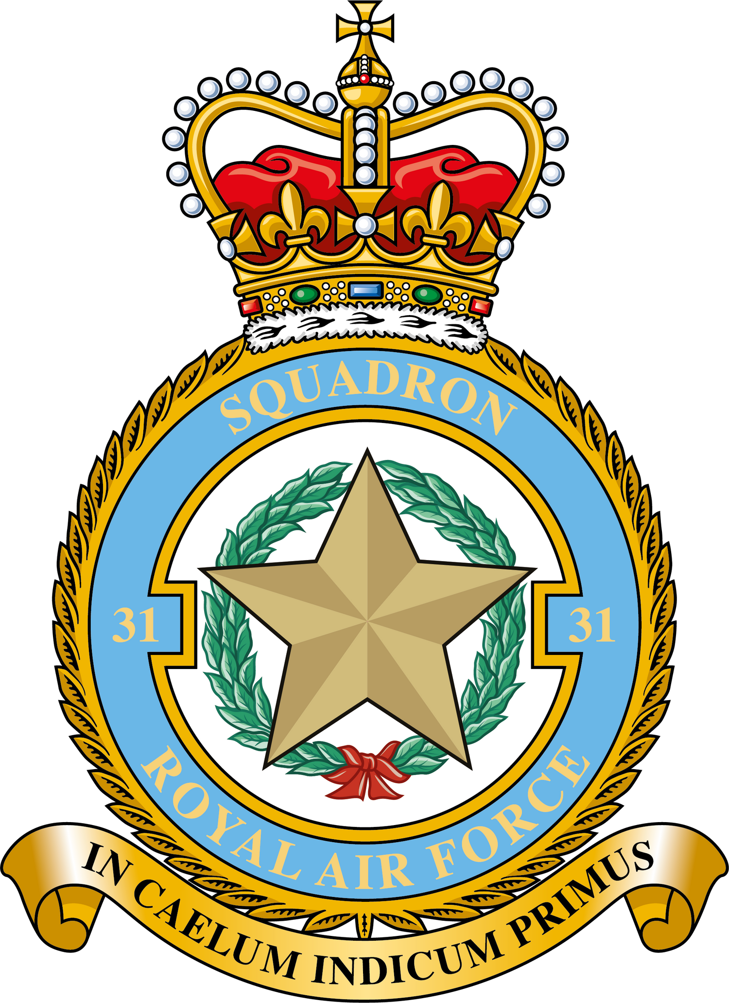 31 Squadron RAF