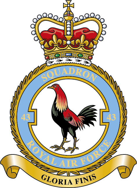 43 Squadron RAF