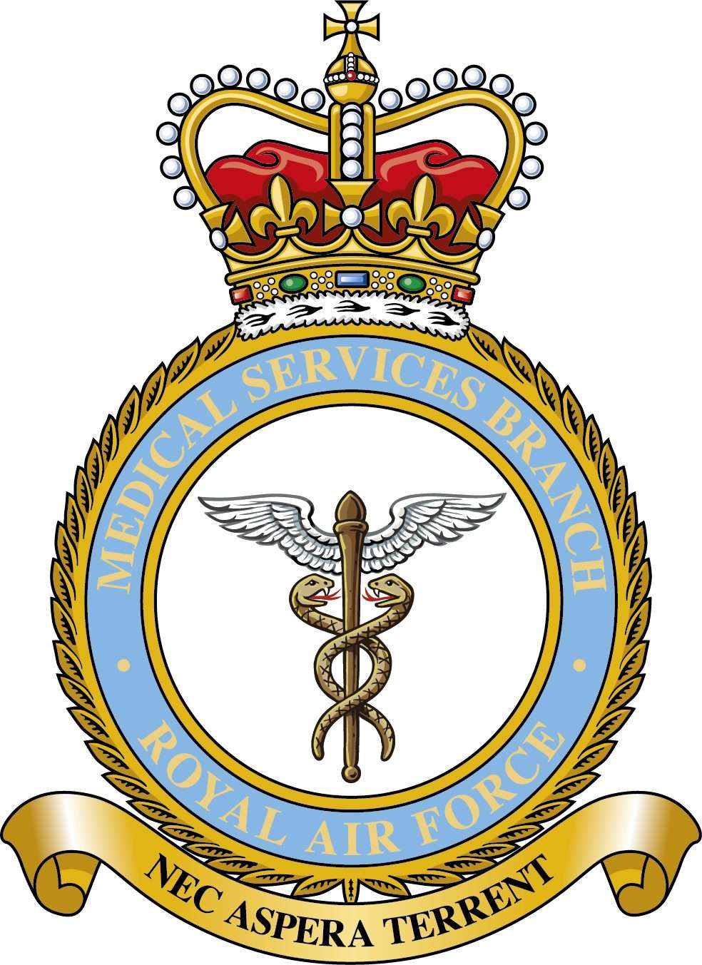 RAF Medical Branch