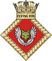 HMS Flying Fox