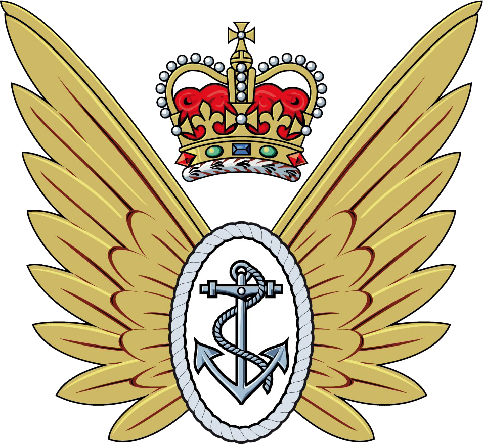 Fleet Air Arm Observer Wings