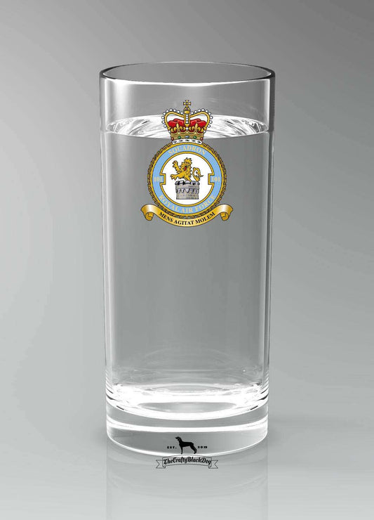 101 Squadron RAF - Straight Gin/Mixer/Water Glass