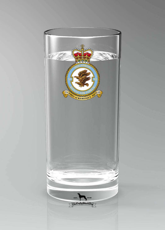 11 Squadron RAF - Straight Gin/Mixer/Water Glass