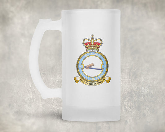 115 Squadron RAF - Frosted Stein