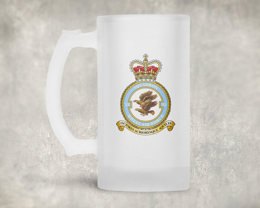11 Squadron RAF - Frosted Stein