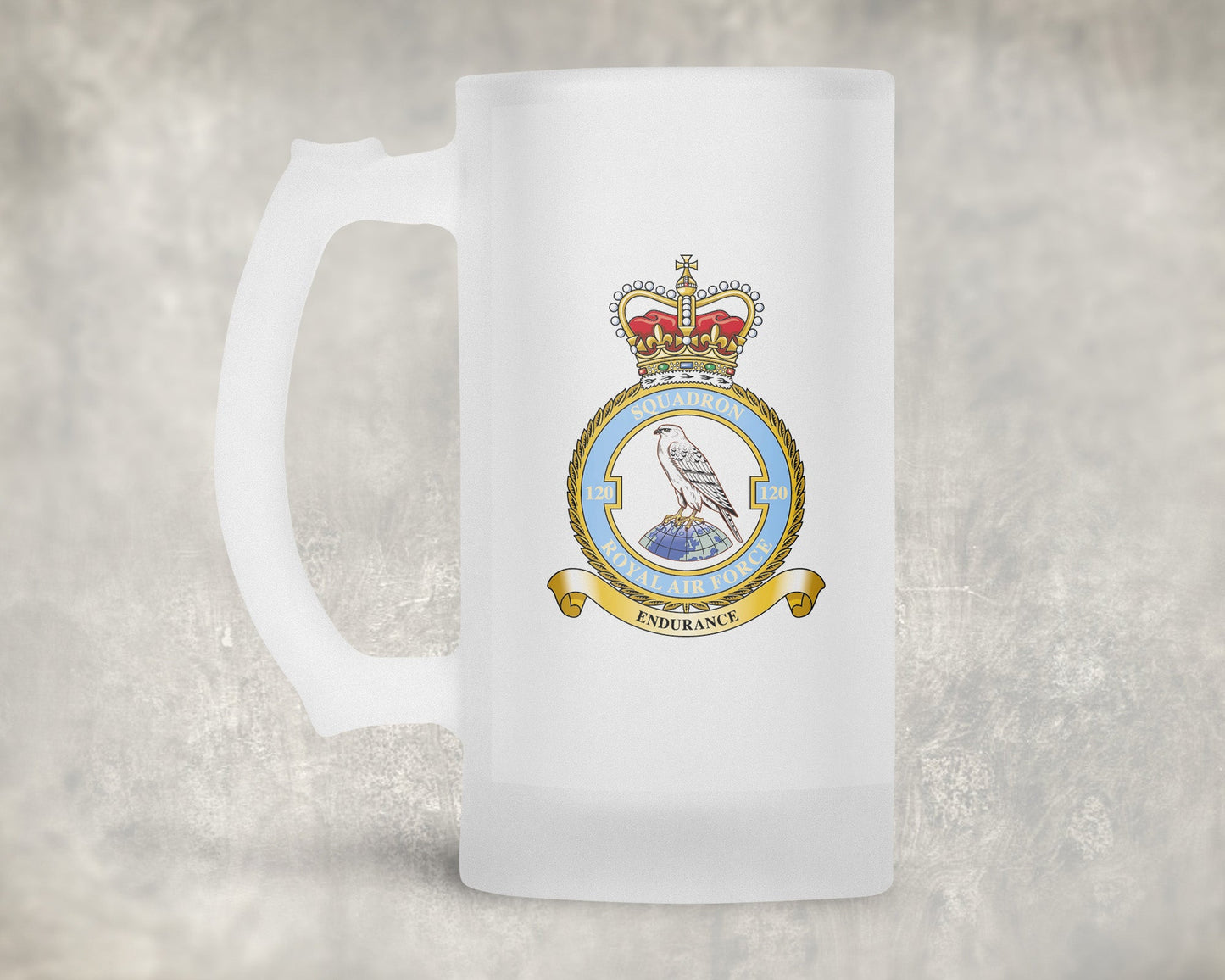120 Squadron RAF - Frosted Stein