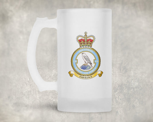 120 Squadron RAF - Frosted Stein