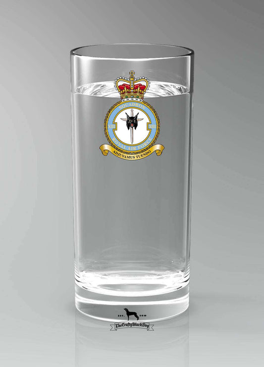 13 Squadron RAF - Straight Gin/Mixer/Water Glass