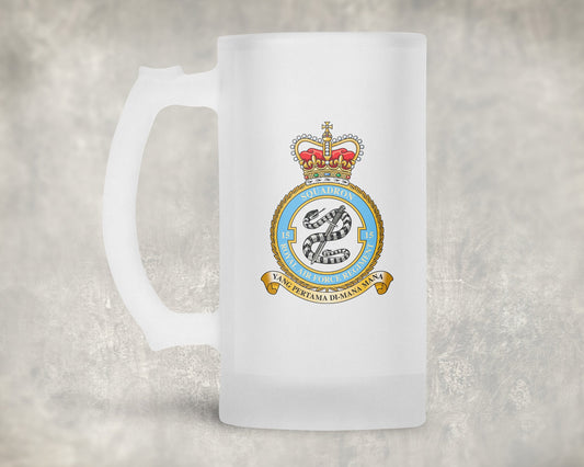 15 Sqn RAF Regiment - Frosted Stein