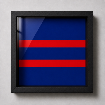 Duke of Edinburgh's Royal Regiment Cap Badge Display Frame | Officially Licensed