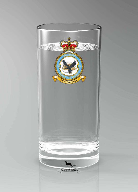 20 Squadron RAF - Straight Gin/Mixer/Water Glass