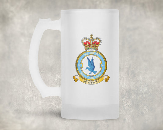 201 Squadron RAF - Frosted Stein