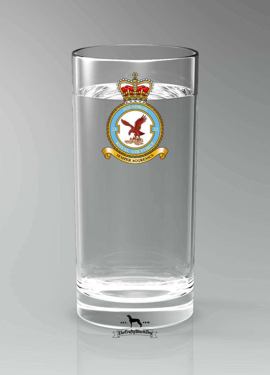 23 Squadron RAF - Straight Gin/Mixer/Water Glass