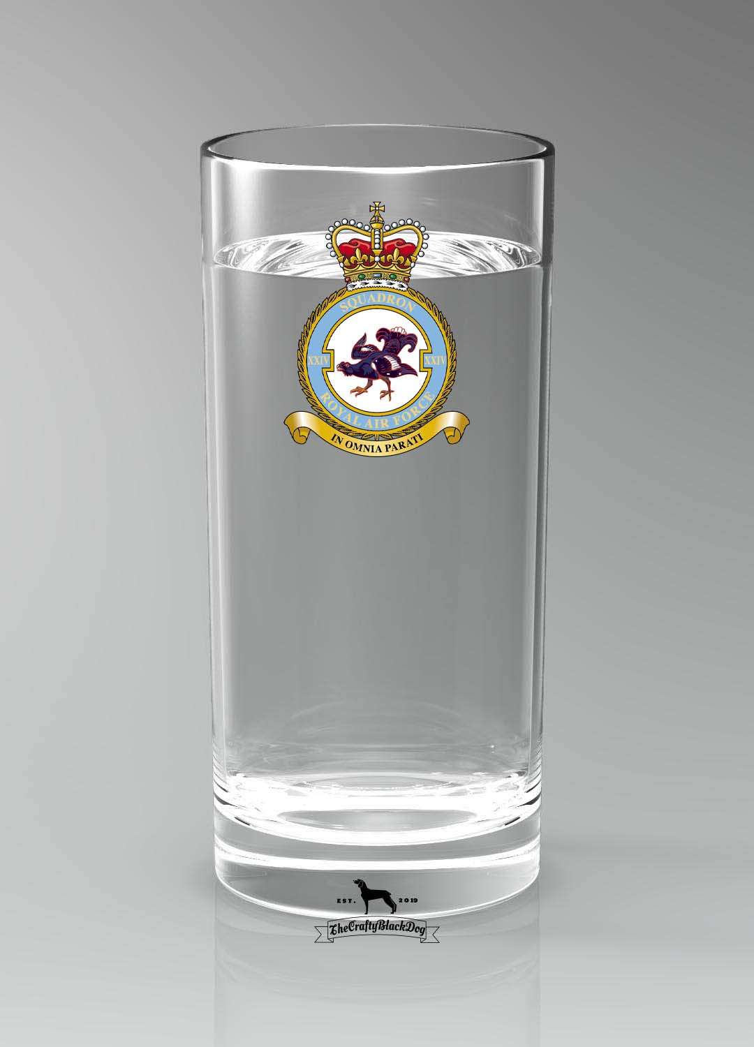 24 Squadron RAF - Straight Gin/Mixer/Water Glass