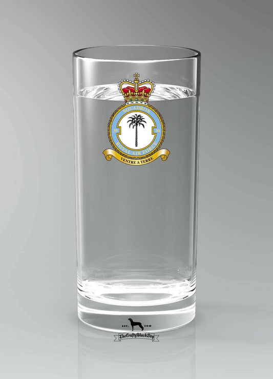30 Squadron RAF - Straight Gin/Mixer/Water Glass