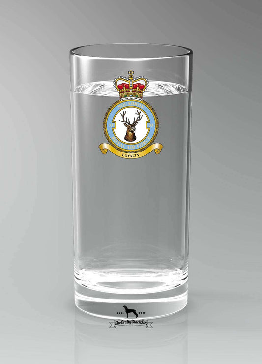 33 Squadron RAF - Straight Gin/Mixer/Water Glass