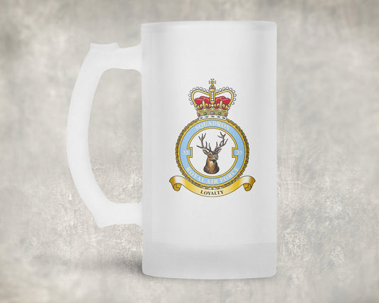 33 Squadron RAF - Frosted Stein