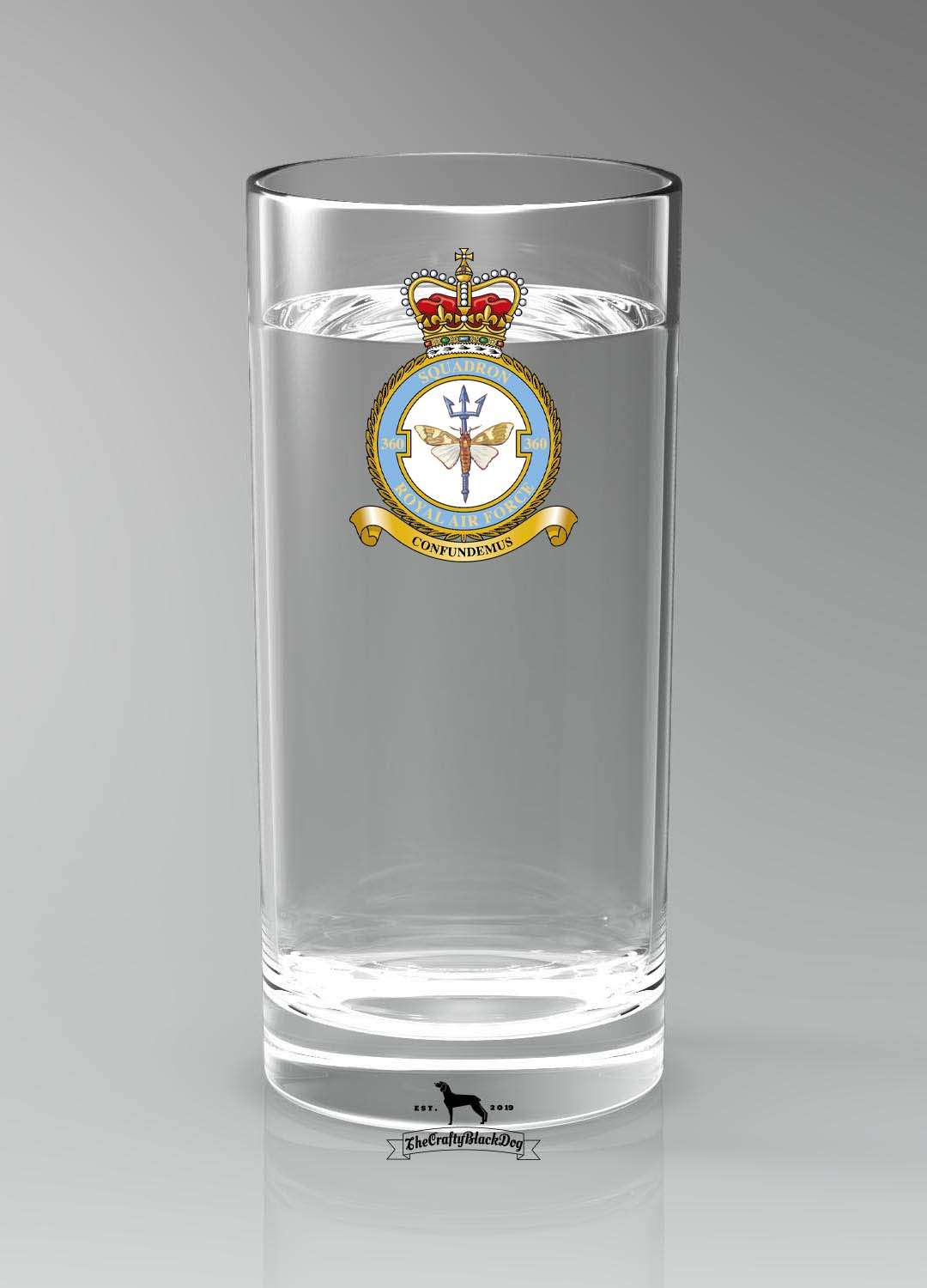 360 Squadron RAF - Straight Gin/Mixer/Water Glass
