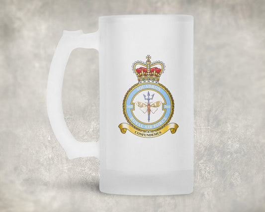 360 Squadron RAF - Frosted Stein