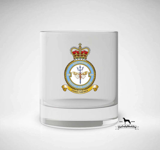 360 Squadron RAF - Tumbler
