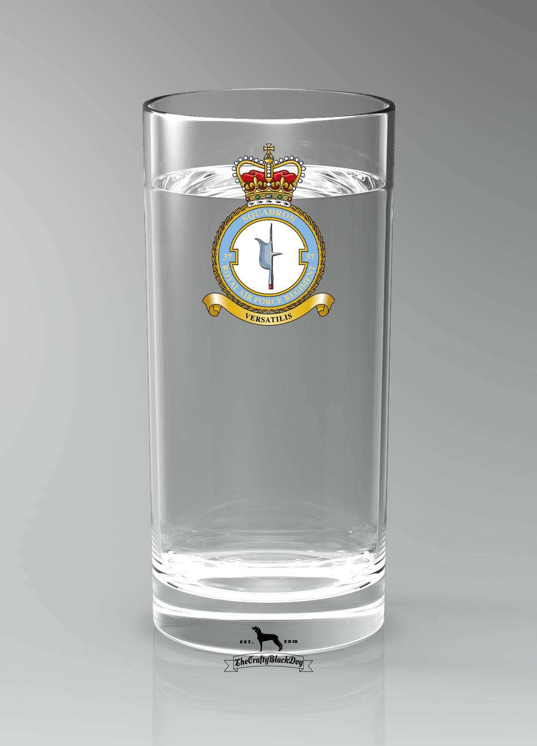 37 Squadron RAF - Straight Gin/Mixer/Water Glass