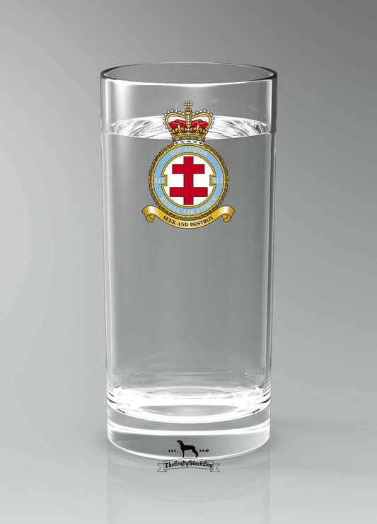 41 Squadron RAF - Straight Gin/Mixer/Water Glass