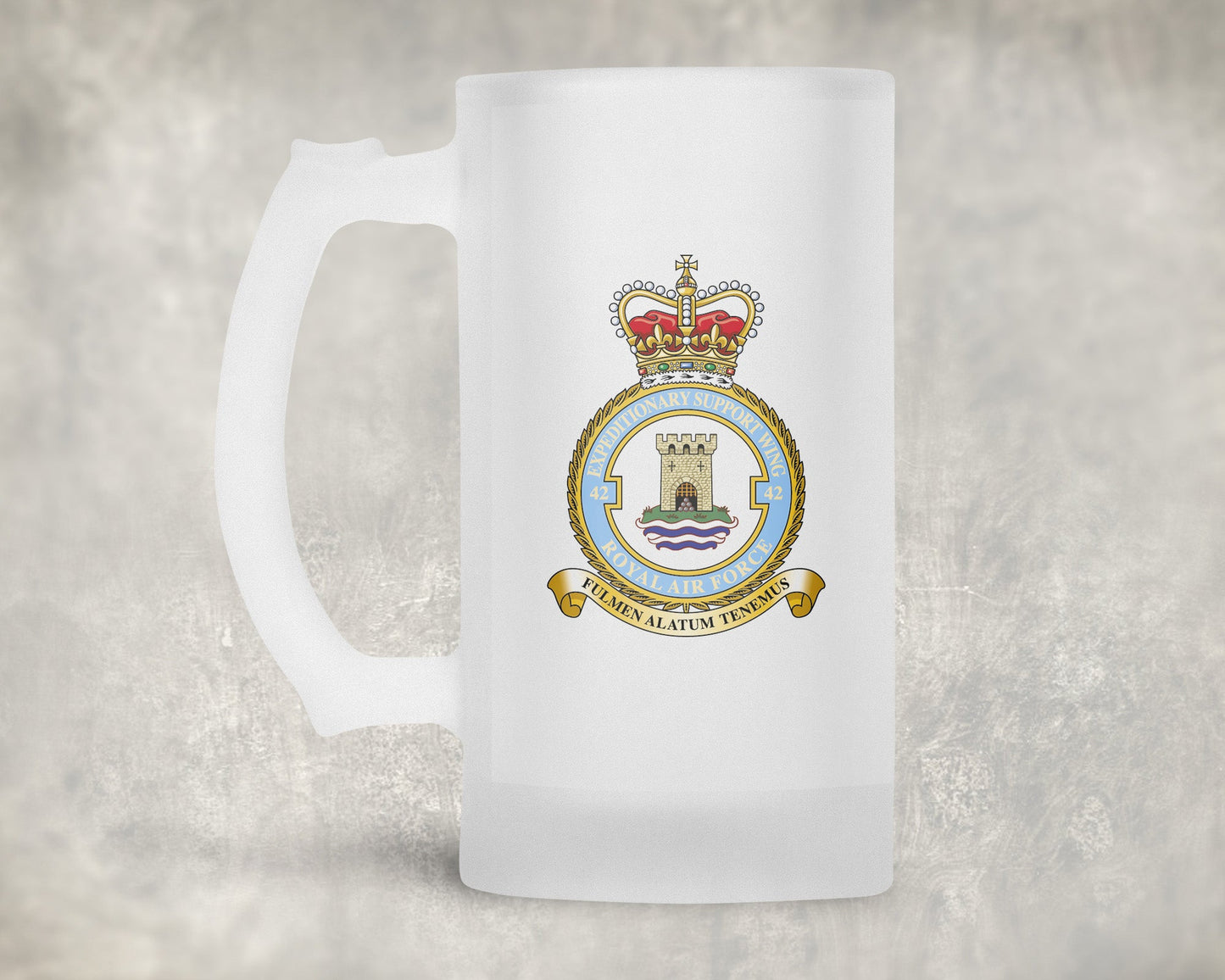 42 Expeditionary Support Wing RAF - Frosted Stein