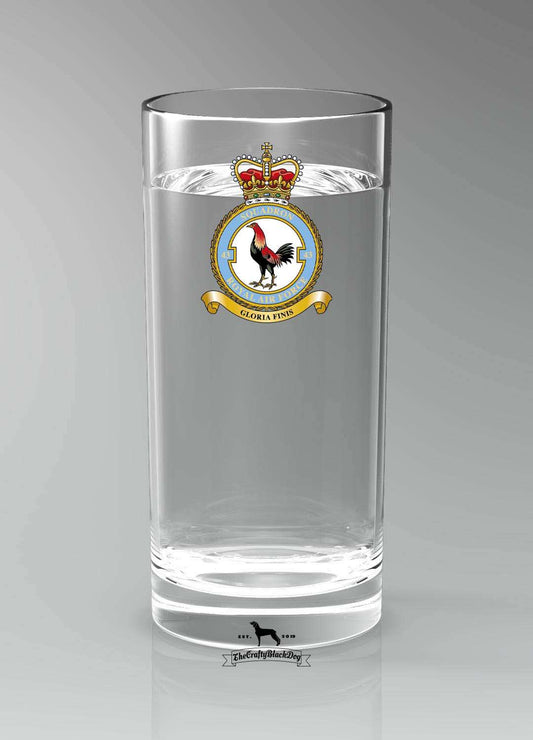 43 Squadron RAF - Straight Gin/Mixer/Water Glass