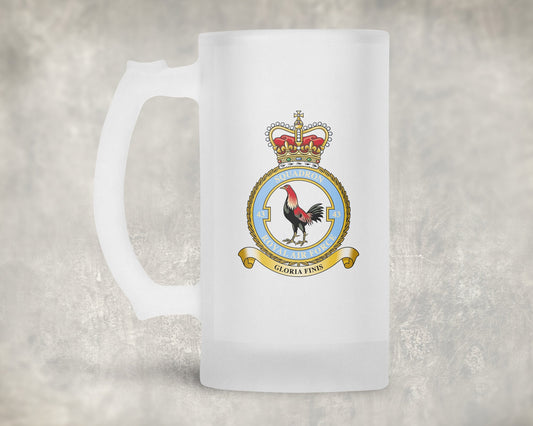43 Squadron RAF - Frosted Stein