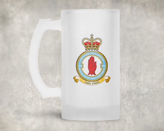 502 (Ulster) Sqn RAuxAF - Frosted Stein