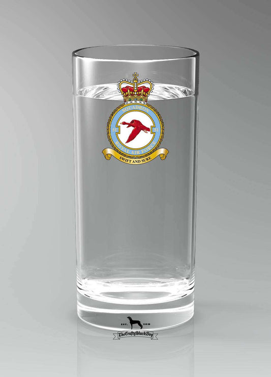 51 Squadron RAF - Straight Gin/Mixer/Water Glass