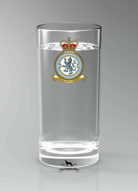 54 Squadron RAF - Straight Gin/Mixer/Water Glass