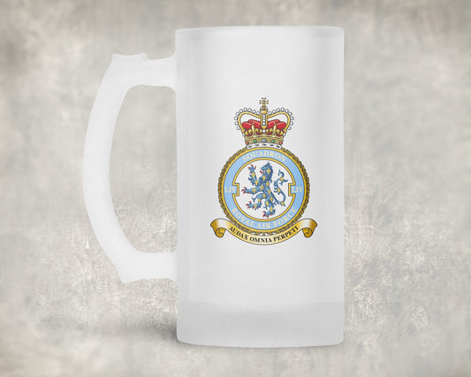 54 Squadron RAF - Frosted Stein