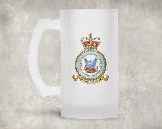 57 Squadron RAF - Frosted Stein