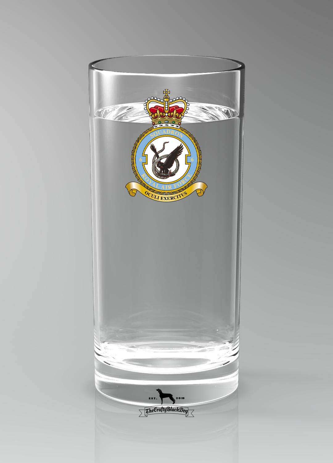 6 Squadron RAF - Straight Gin/Mixer/Water Glass